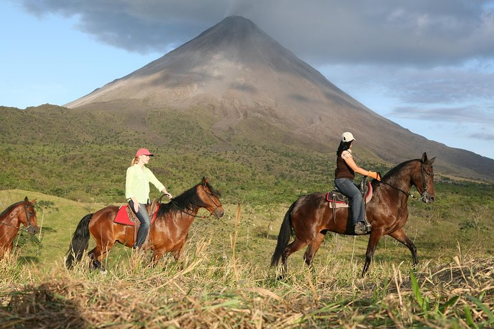 Private and Customized Horseback Riding Adventures - Photo 1 of 14